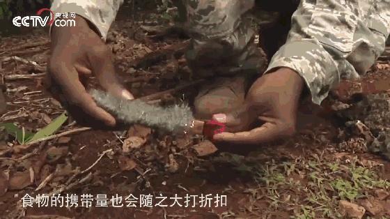 揭秘丛林战场，为什么很多军事行动都发生在丛林区？