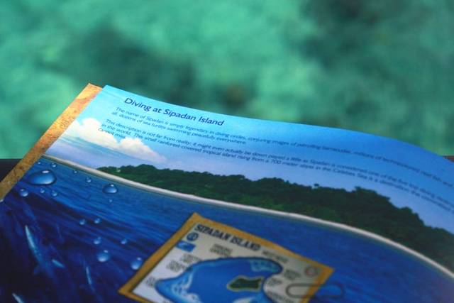 恋与制作人想和你在一起,恋与制作人在你身边值不值