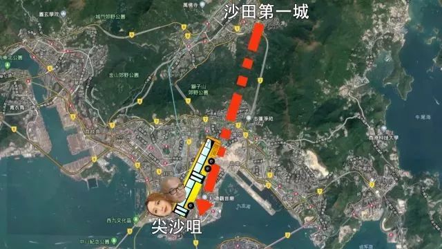 香港早餐吃蛋挞,香港蛋挞哪里最正宗