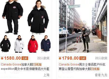 鎶勮鐨勬渶楂樺鐣屾湁澶氶珮,canadagoose