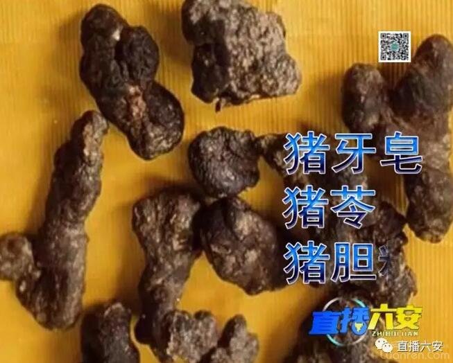 猪肚子里面有个毛球是什么东西,猪肚子里面长了个珠宝值钱吗