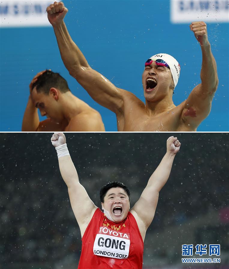 2017新华社体育部,新华社体育部评为2012十佳运动员