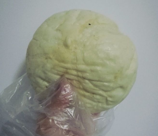 正宗的鸿运大包在哪儿,无锡正宗鸿运大包品牌