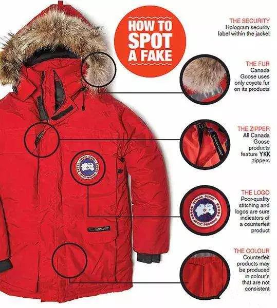 鎶勮鐨勬渶楂樺鐣屾湁澶氶珮,canadagoose