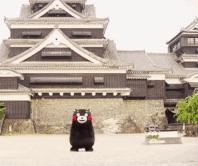 又要放假了！湖北某高校51天超长寒假……江夏小伙伴悲剧了……