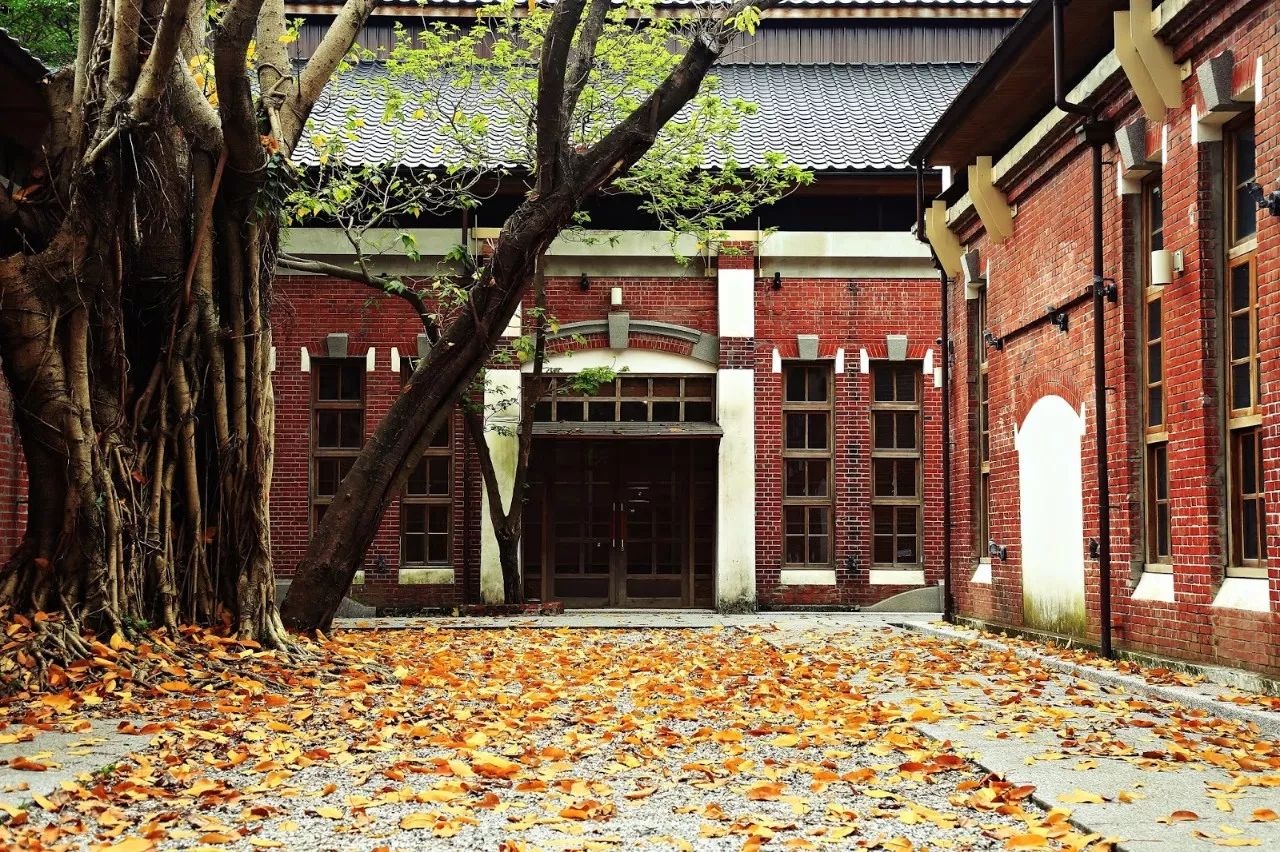 水瓶座会说走就走的旅行,水瓶座天性自由随性