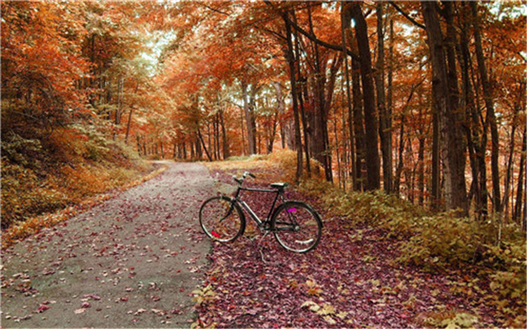 会骑车的小野驴,会骑车的小伙子