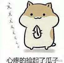 家庭版的健身计划怎么做,每日详细健身计划