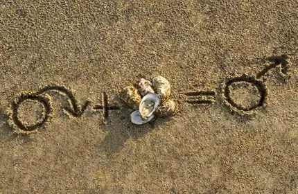 需要我来教你吗英文,你愿意请我吃生蚝吗