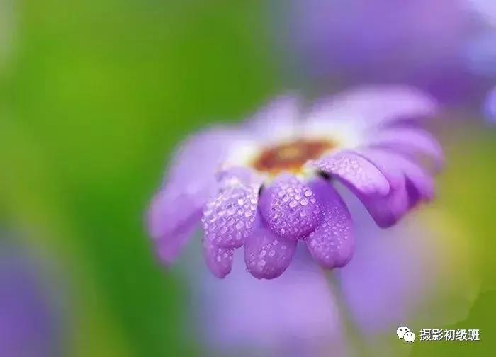 新手学摄影入门视频教程,摄影入门速成30个基本技巧