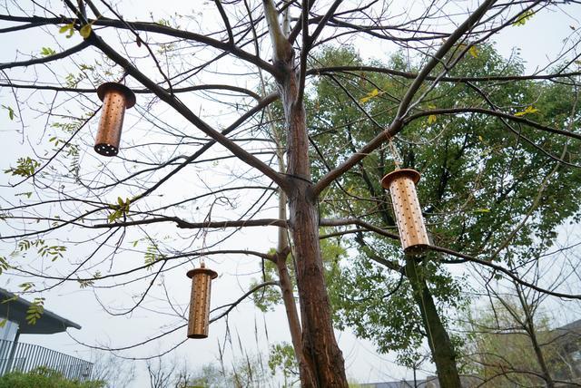 我和玛莎拉蒂的故事,我与玛莎拉蒂的故事
