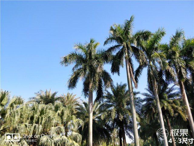 资深极客上手一加5T，顺便给你聊聊它的前世今生