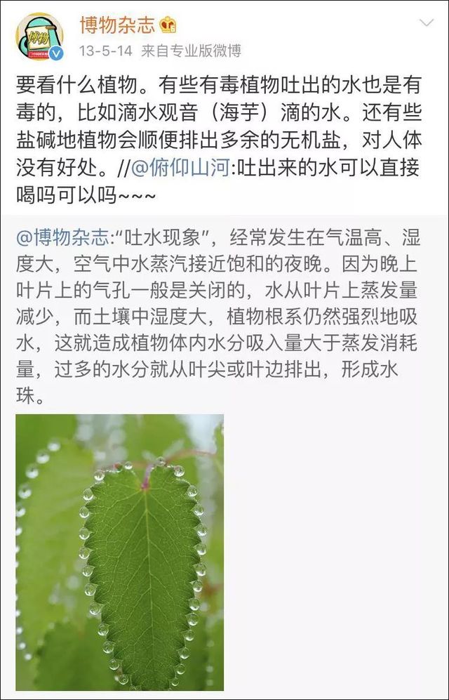 小孩贪玩吃了这个叶子口吐白沫，你家里可能也有！