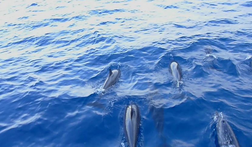 马尔代夫选岛攻略教你如何比别人省下5万块！