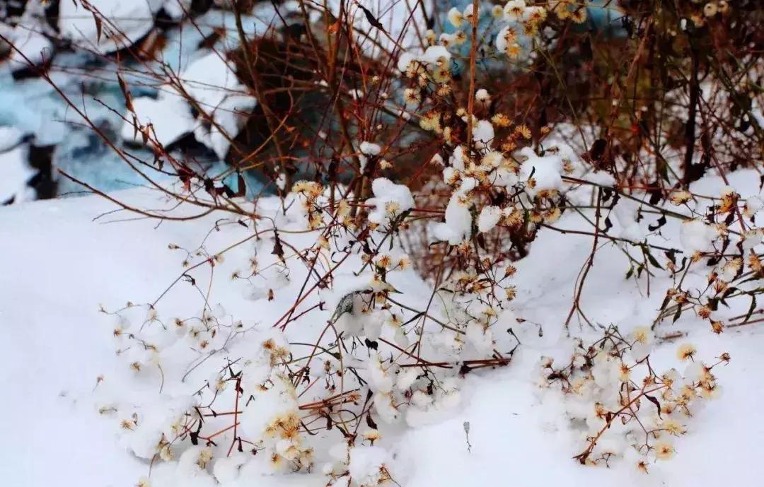 北京旅游冰雪场,北京最大冰雪乐园