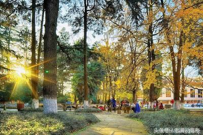 作为云南省唯一的一所211大学，云南大学有何特色？