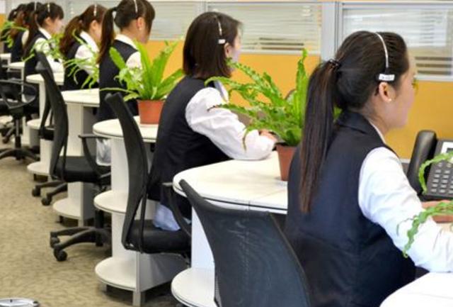 拼多多物流客服投诉有用吗,物流客服处理问题话术模板