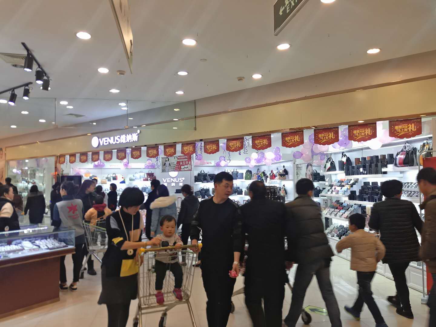 维纳斯优雅而健美,维纳斯缺憾之美