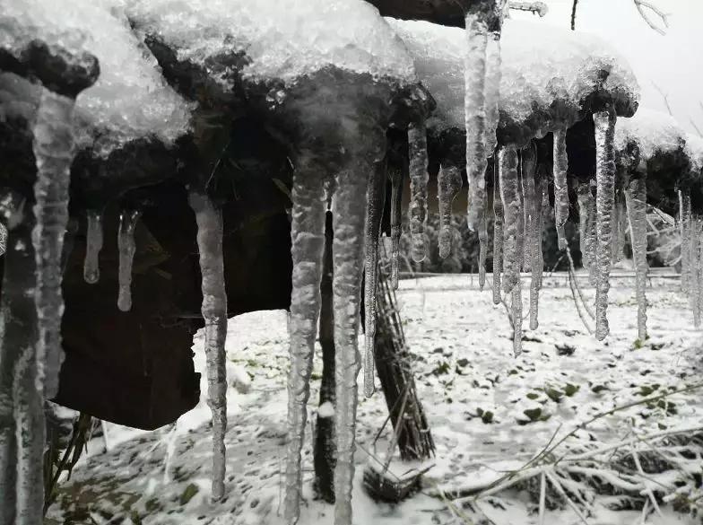 利川市冰雪奇缘滑雪场,利川冰雪奇缘滑雪场