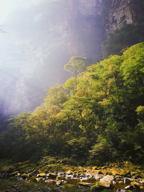 神奇美丽的张家界,张家界大自然仙境长视频