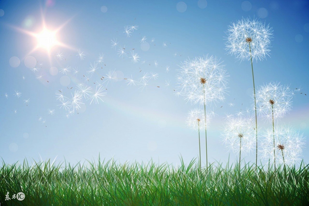 零基础在职一个半月可能过司考吗,在职怎么备考司考