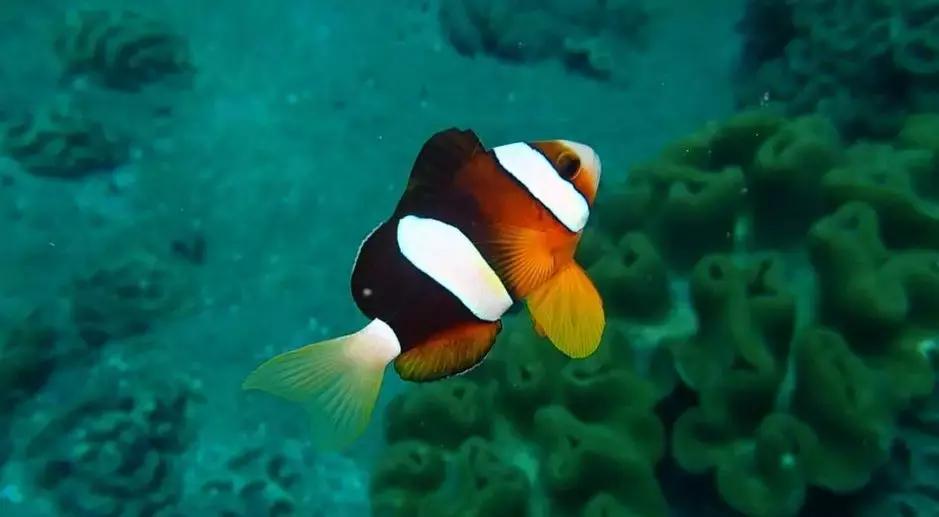 娉板浗鍗佸ぇ闅愯棌宀涘笨,娉板浗鍗佸ぇ闅愪笘娴峰矝