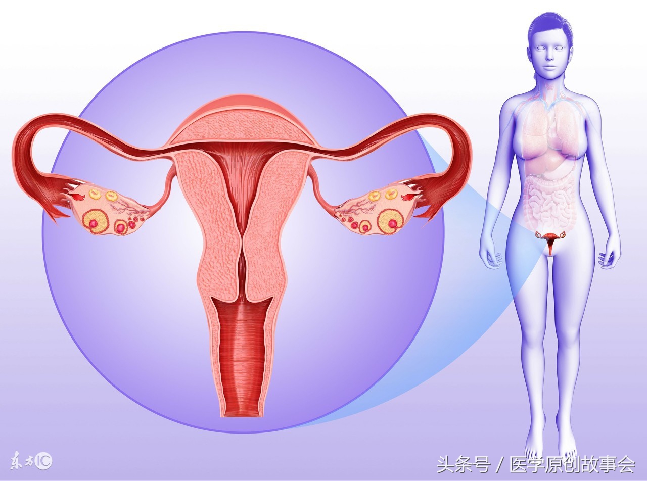 妇科子宫附件切除术后的护理措施,妇科手术把子宫切除有什么危害