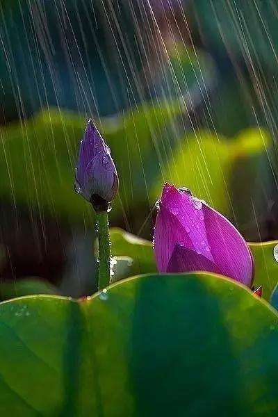 是风动亦是怦然心动,是风动亦是心动原声