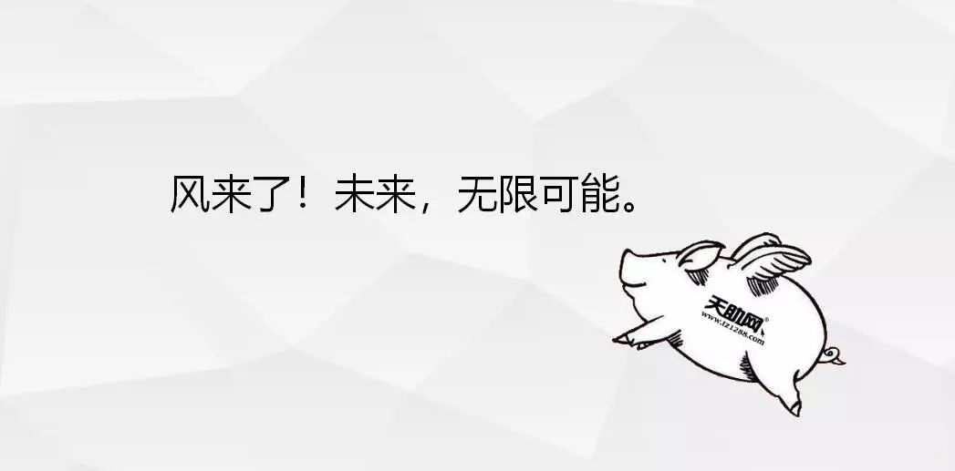 天助网连续七年荣获深圳市电商协会“优秀常务副会长单位”荣誉