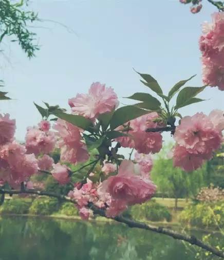 2018年浙江地方景点旅游日历大合集！含杭州，建德，温州，金华！