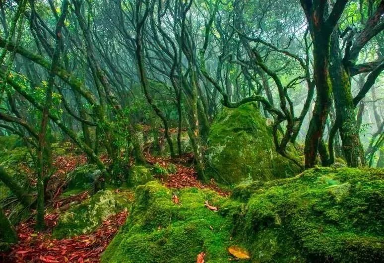 2018年浙江地方景点旅游日历大合集！含杭州，建德，温州，金华！