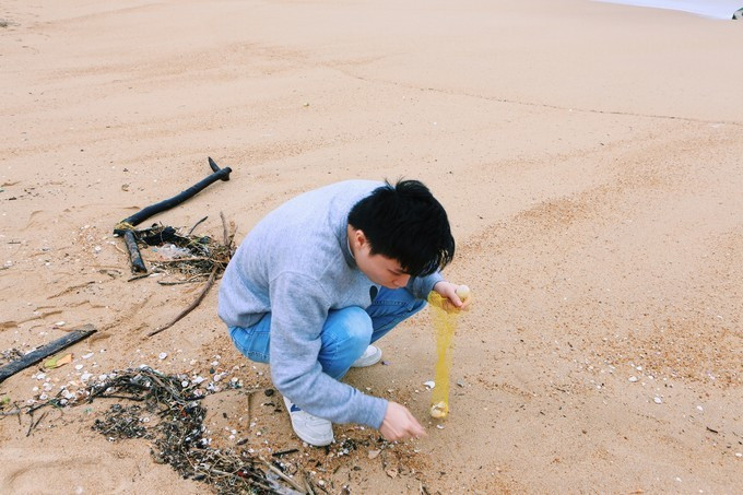 去三亚潇洒走一回,去海南三亚旅游潇洒走一回