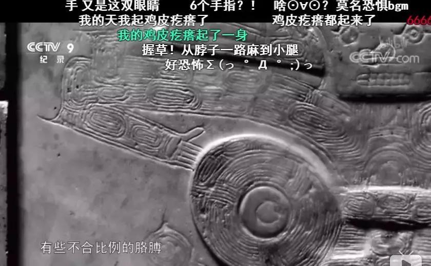 一部国产纪录片弹幕居然全是哈哈哈哈哈哈哈