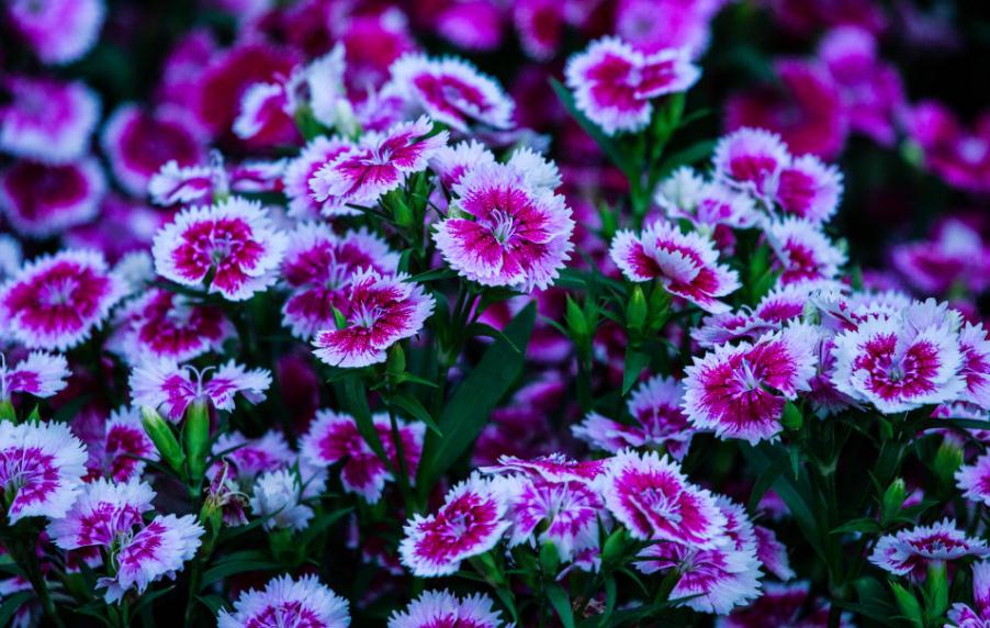 当你的人生陷入绝望,当你的人生遇到困境的时候