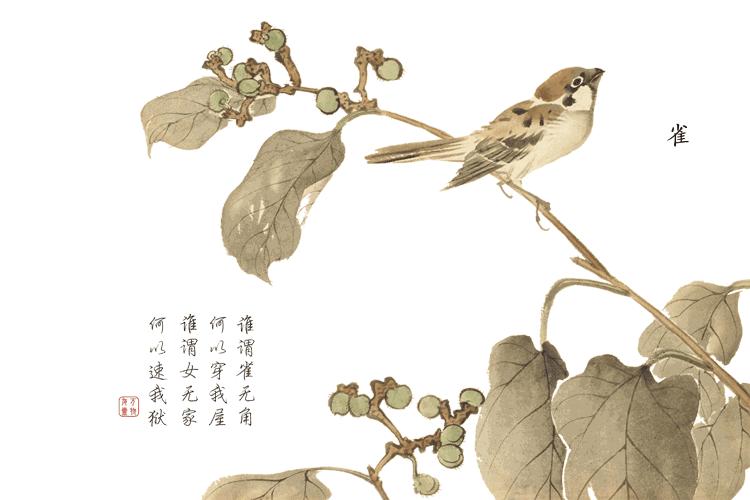 诗经中最唯美的名字,王姓女孩诗经中最唯美的名字