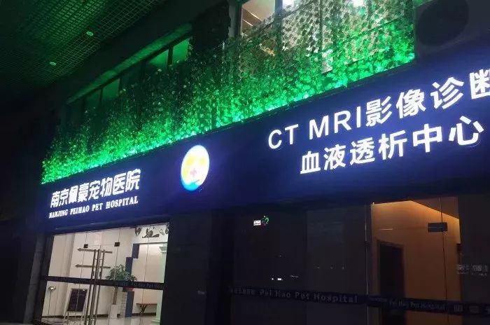 铲屎官宠物诊所,铲屎官宠物医院优惠