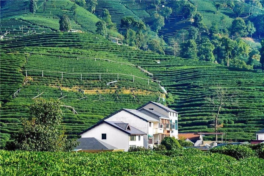 2018年浙江地方景点旅游日历大合集!含杭州,建德,温州,金华!