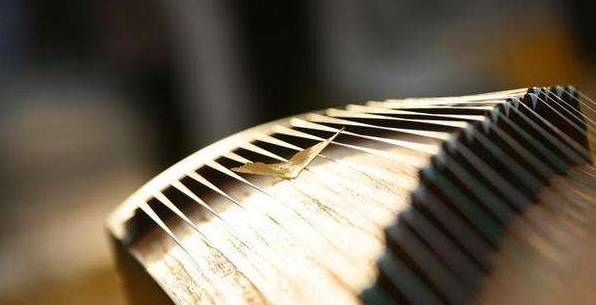 她们在古稀之年学筝，只想告诉你：学琴真的不分早晚