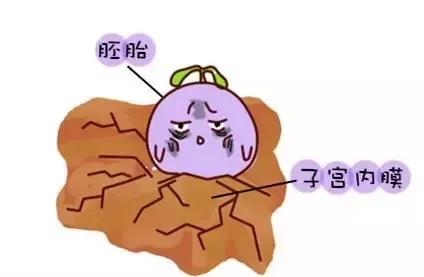 胎停育有多崩溃,如何走出胎停育的阴影