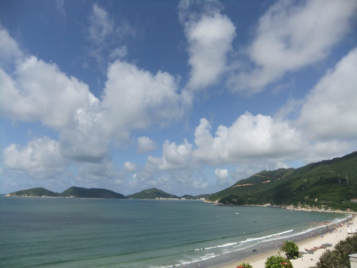 江门小鸟的天堂旅游攻略,江门小鸟天堂附近免费游玩的地方