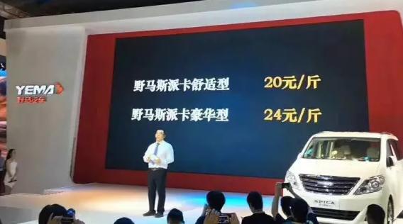 福特野马事故赔偿8万,福特野马为什么输给四川野马