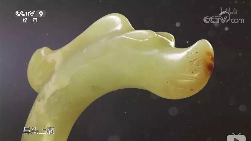 一部国产纪录片弹幕居然全是哈哈哈哈哈哈哈