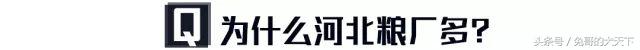宠粮河北,怎么评价河北宠粮
