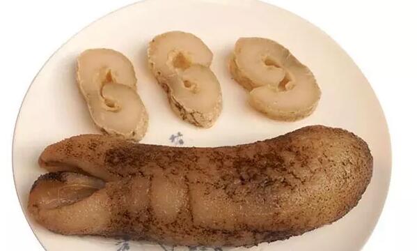 你知道世界上的鱼类有多少个,你知道的海底世界有多少种鱼