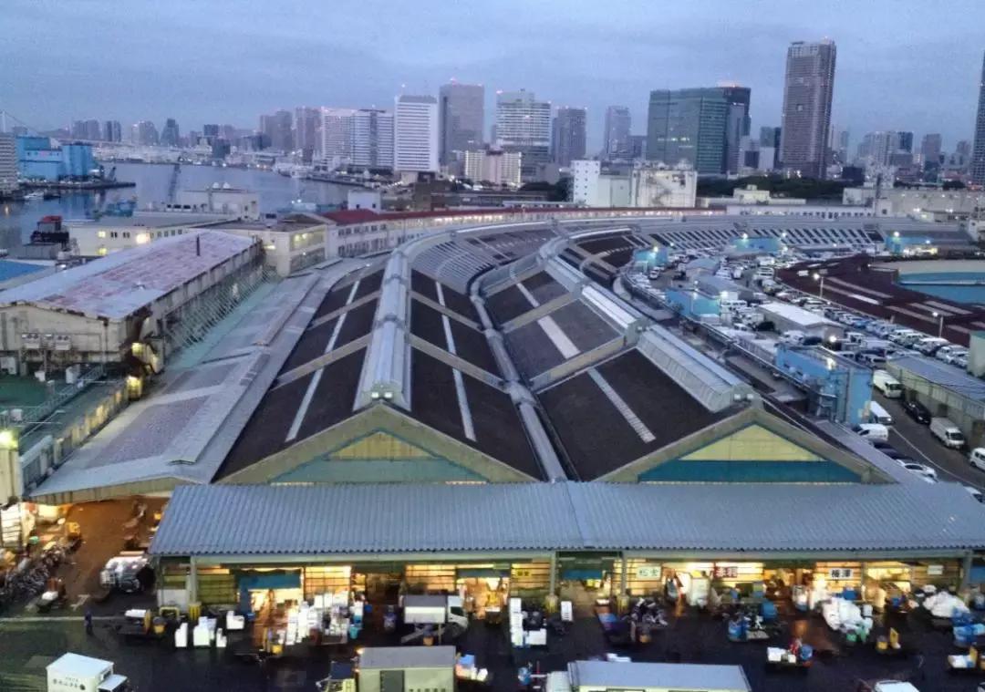 日本的海鲜市场现在最新情况,日本青森海鲜市场