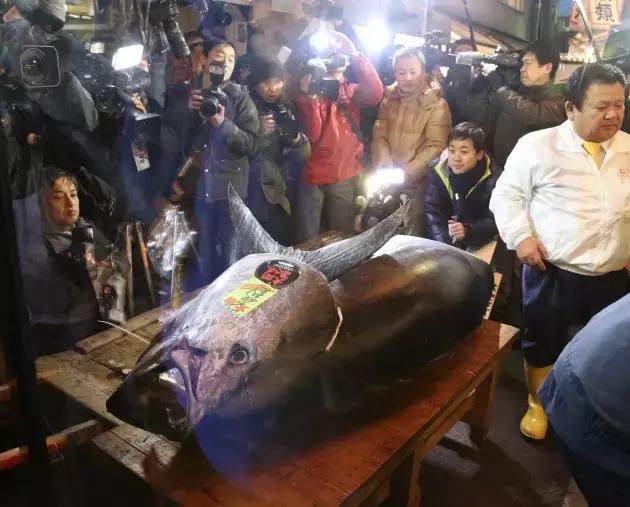 日本的海鲜市场现在最新情况,日本青森海鲜市场