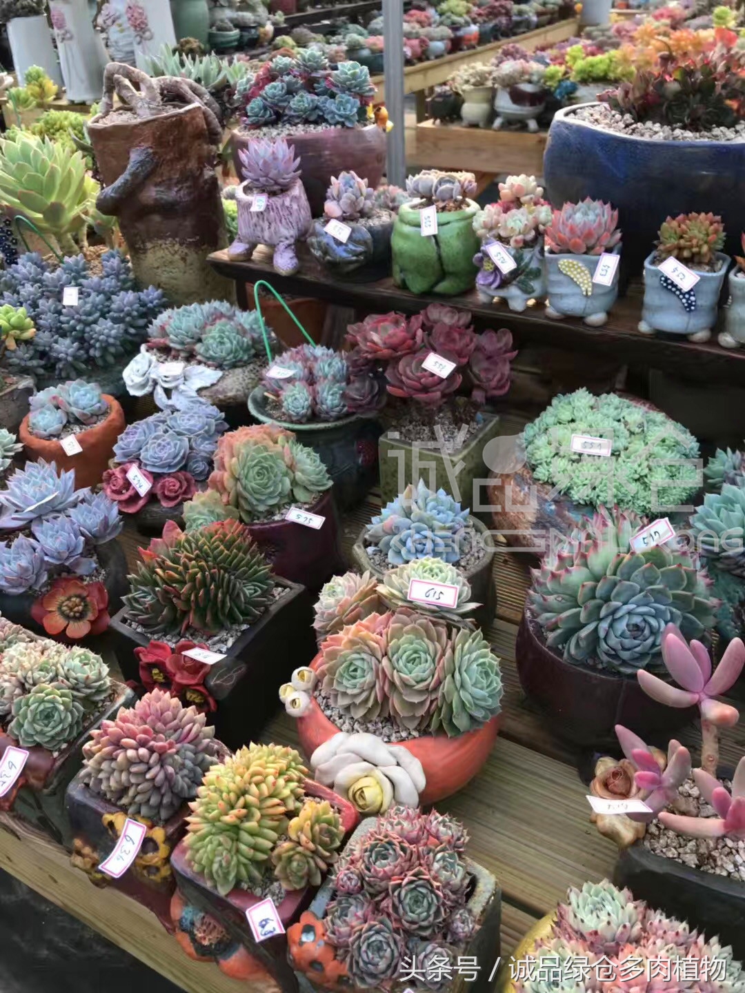 满足你对的所有幻想,满足你对生活所有的想象