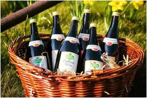 迪士尼农业采摘园,德国的草莓主题乐园