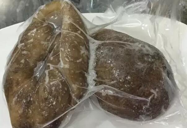 带您了解世界海参,你知道全球有多少种鲨鱼吗