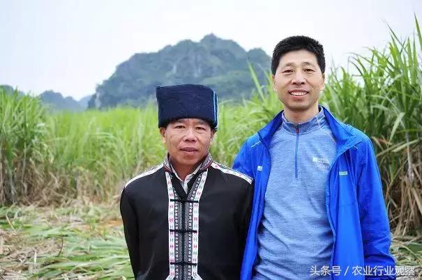 专访｜宜信融资租赁毛芳竹：我们与农户、经销商是“三兄弟”关系